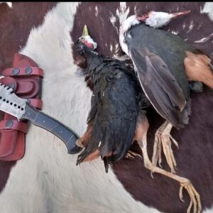 Custom Handmade Damascus steel Tracker knife with leather sheath