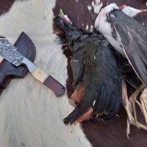 Custom Handmade Damascus steel Gut hook Skinner knife with leather sheath